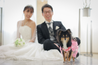 【8月皆様大好き】試着フェア開催!