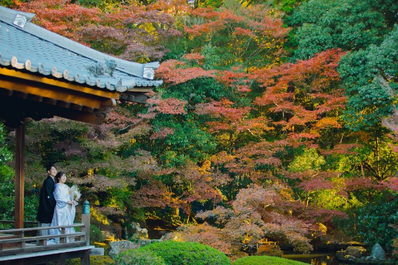 【紅葉ロケキャンペーン】35万円相当のプランがリーズナブルに!新婦様衣装代無料!