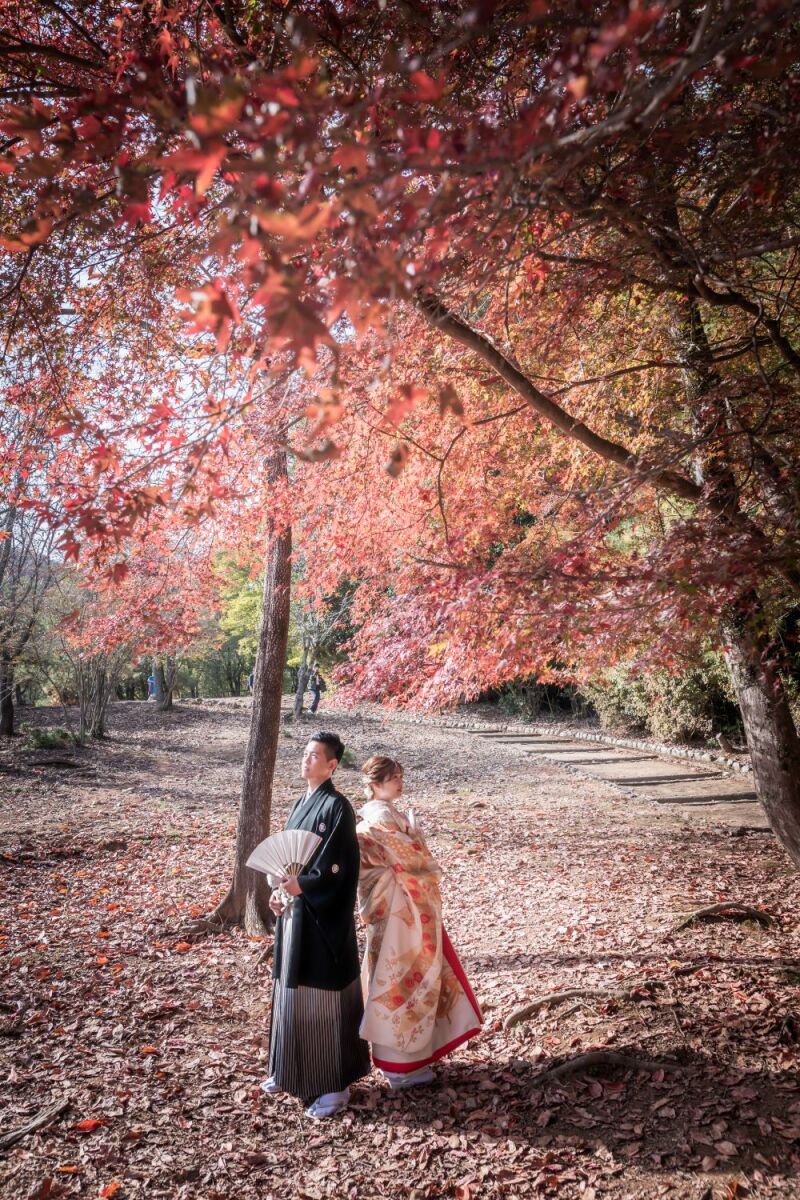 紅葉シーズンでの撮影承っております!③