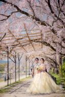 春のロケーション間に合います!