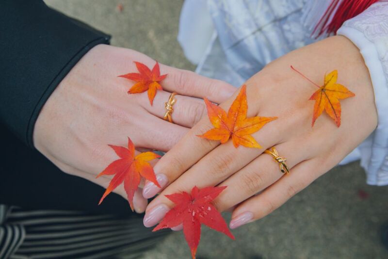 紅葉シーズンでの撮影承っております!③