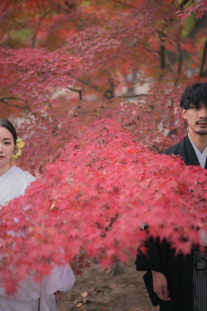 紅葉シーズンでの撮影承っております!②