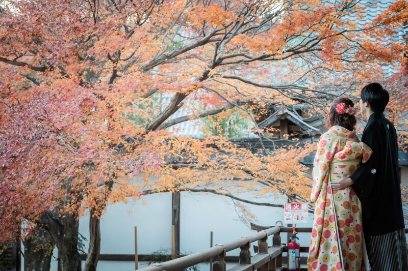  紅葉ロケまだ間に合います！！【大覚寺撮影空き状況】