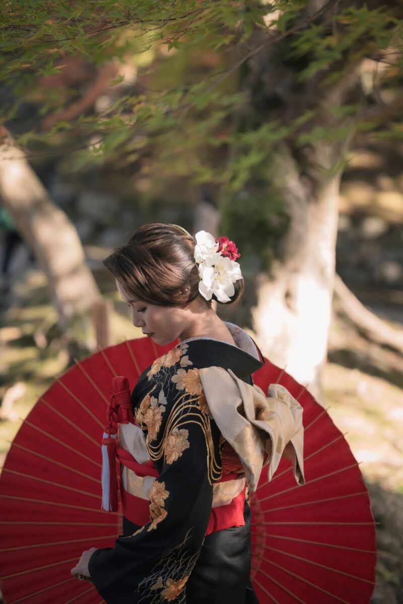 オプション紹介 帯のセレクト