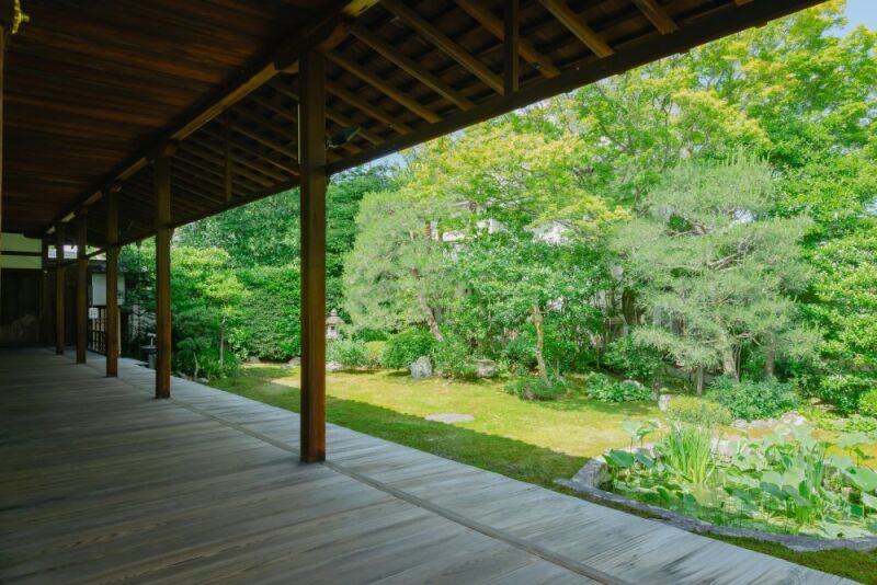 【本法寺】撮影はじめました!