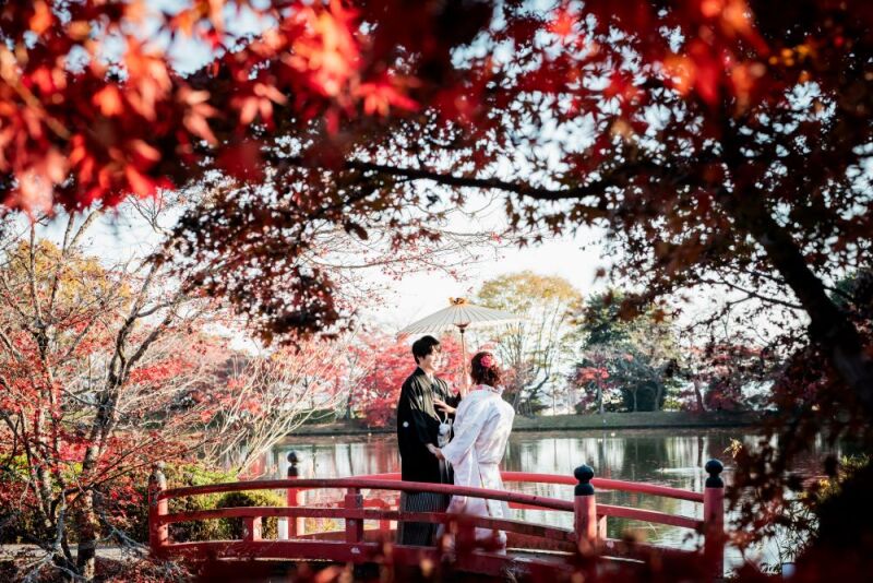 紅葉シーズンでの撮影承っております!③