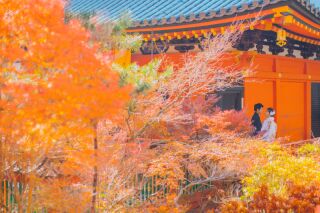 紅葉シーズンにぴったりなロケーション地part１