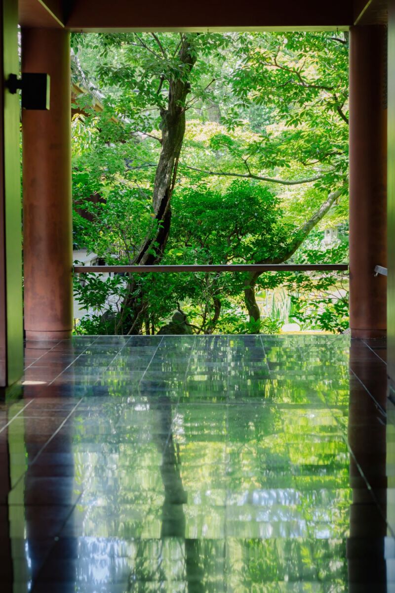【本法寺】撮影はじめました!