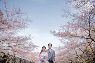 まだ間に合います!桜のロケーション撮影❀