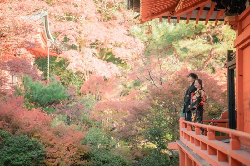 紅葉シーズンでの撮影承っております！①