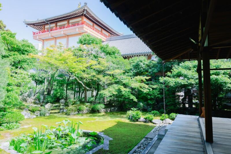 【本法寺】撮影はじめました!