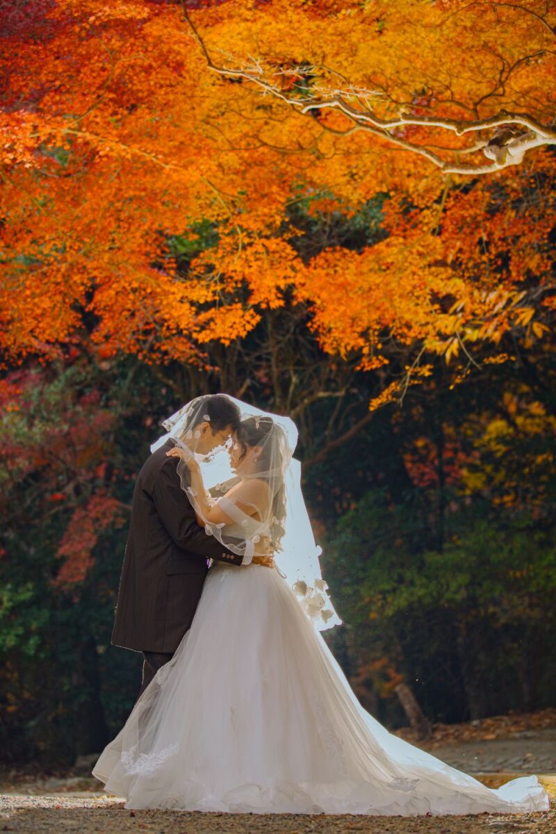 紅葉シーズンでの撮影承っております!③