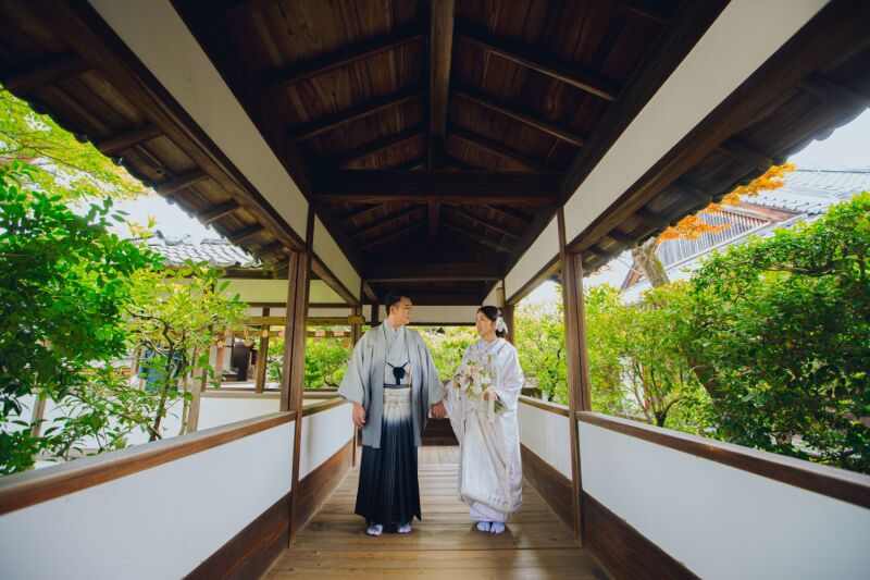 新緑~仁和寺~