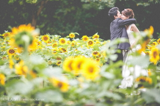 お急ぎください!