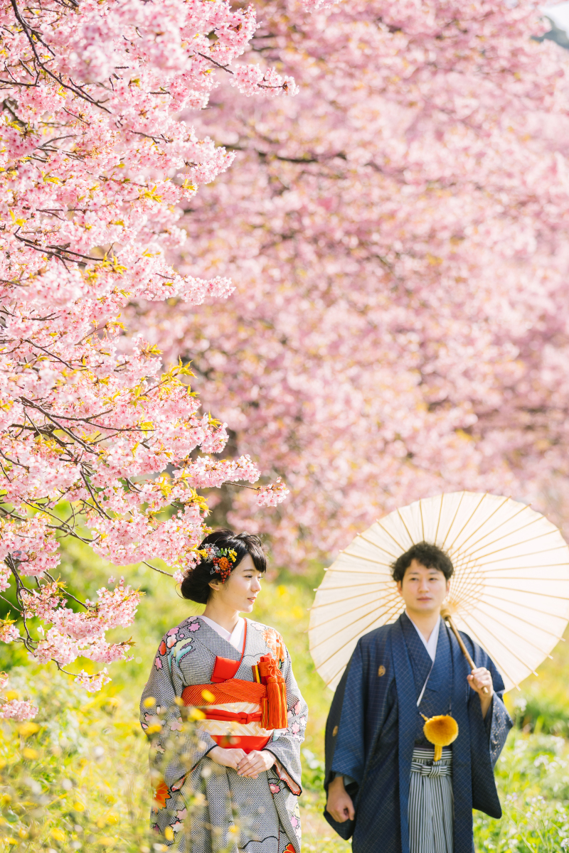 河津桜撮影プランリリース準備中です!