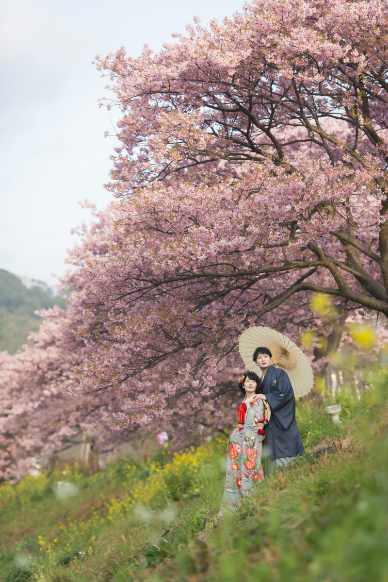河津桜撮影プランリリース準備中です!