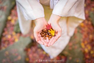 【期間限定】秋の先取りキャンペーン受付中!!