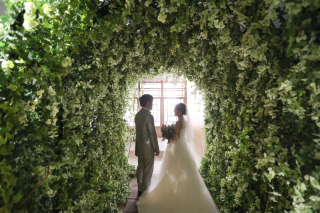 ♡DRESS FANTASIA♡MAISON studio限定キャンペーン情報！