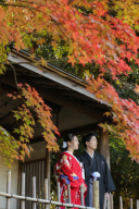 ♬　紅葉ロケーションフォト　♪:*:･･:*
