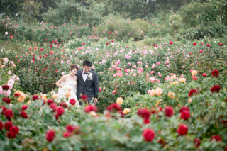 ローズガーデンフォト♪