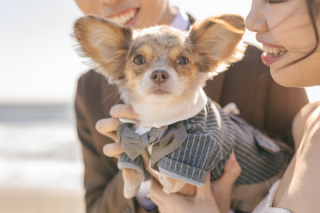 大切なペットとの撮影