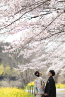 ･:*+.\２０２３　New Year Fair in CHIBA　/.:+