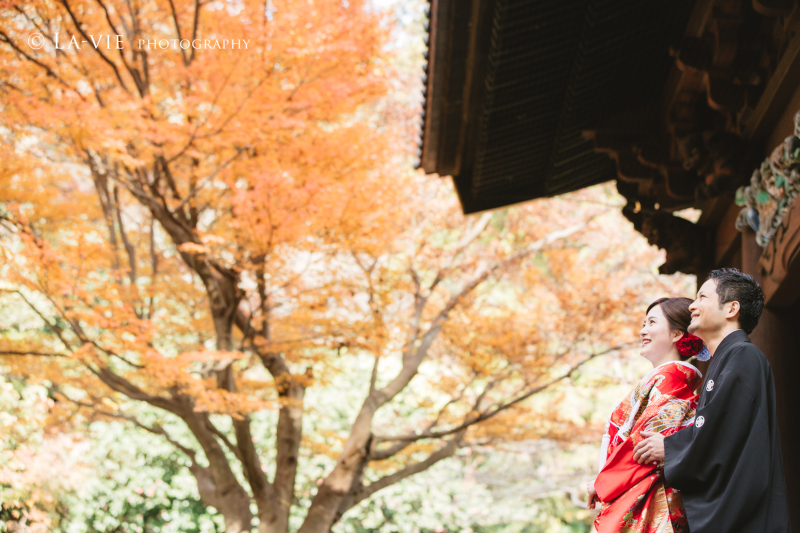 紅葉×妙本寺