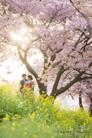 ピンクと黄色のコラボと言えば。。