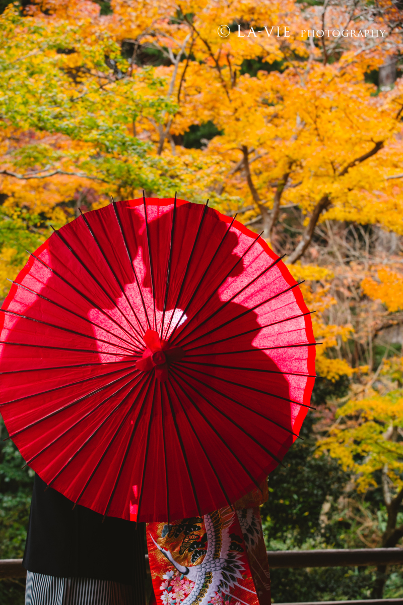 紅葉×妙本寺