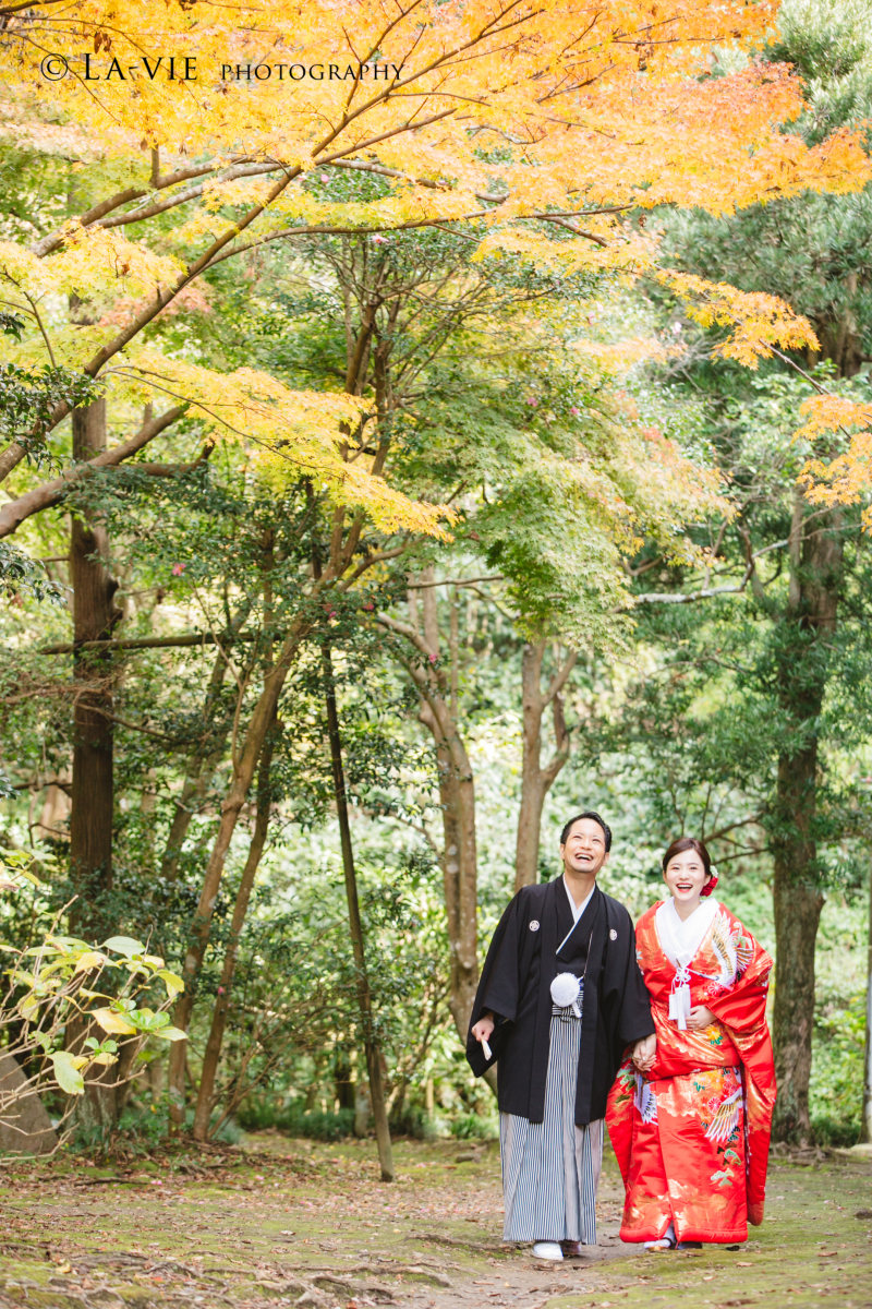 紅葉×妙本寺