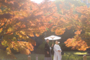 【6月申込限定!!紅葉早割】秋のロケフォトキャンペーン受付中!