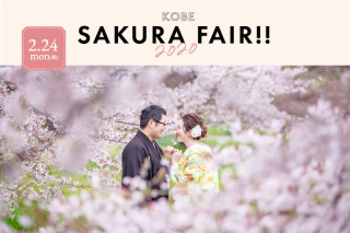 春のロケーション・スタジオ大相談会開催します!★