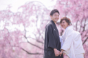 〜桜満開!ブライダルフォトフェア〜