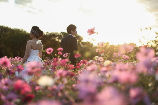 紅葉シーズン到来、豪華体験付フェア開催!!