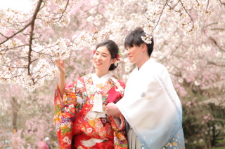 桜フォト撮影出来ます♪
