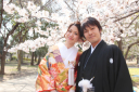 「桜フォト」の予約は一日でも早く
