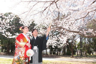 「桜フォト」はまだぜんぜん間に合いますから