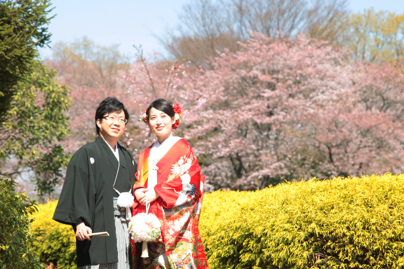 今年も来ました「桜フォト」の予約受付中でっす