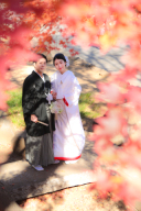 インスタグラムやってます♪