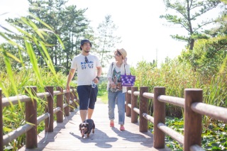 NEWプラン登場！