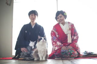  02/22 猫の日！本日も営業しております(=^x^=)