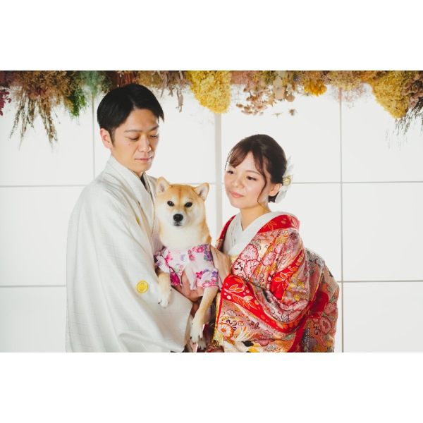11/11 今日は犬の日!本日も営業しております