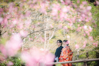 02/18 本日も営業しております