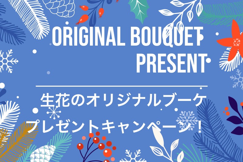 お得すぎるキャンペーンが盛りだくさんの11月にします！(宣誓)