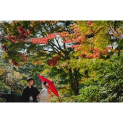 紅葉ロケが超おトク!154,000円!