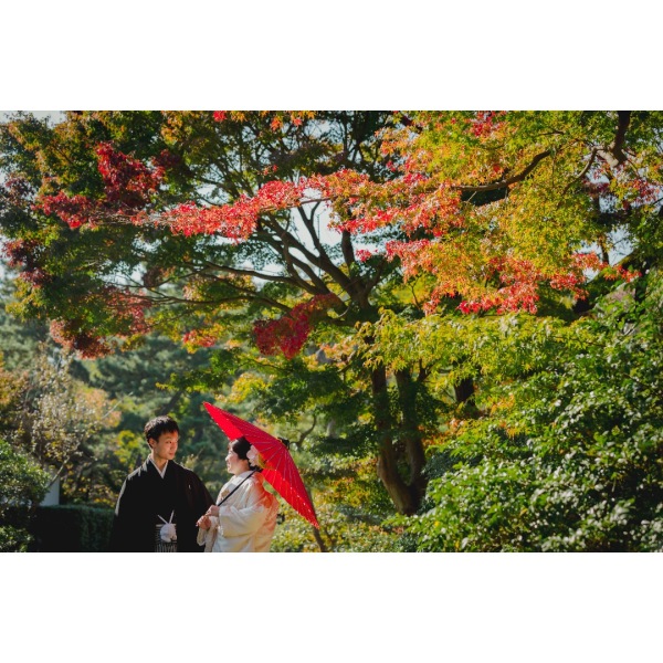 紅葉ロケが超おトク！154,000円！