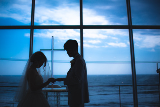 03/01 本日も営業しております