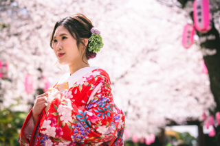 03/17 桜の開花シーズンに注目！