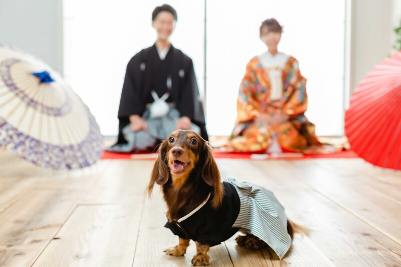大切な家族の一員！ワンちゃんと一緒に撮れる可愛いポーズをご紹介♪