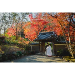 【あと2週間!】紅葉ロケで最 大5万円分 クーポンが当たる!